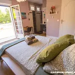 La Grande Arche De Gaia Bed & Breakfast Saussens