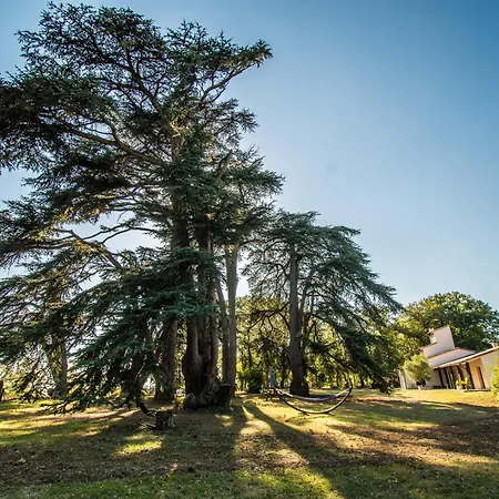 La Grande Arche De Gaia Bed and breakfast Saussens
