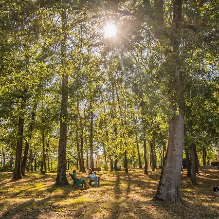 Bed and breakfast La Grande Arche De Gaia